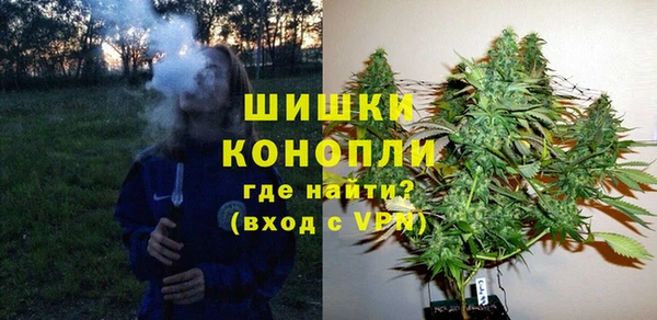 эйфоретик Бородино