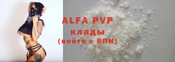 прущие грибы Осинники