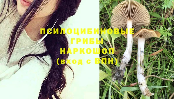 прущая мука Богородск