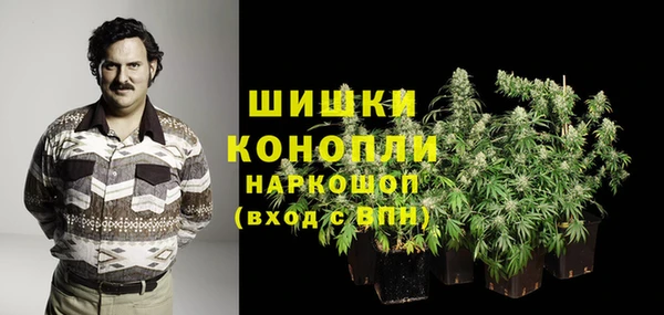эйфоретик Бронницы