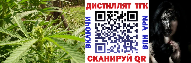 купить закладку  Мурино  ТГК жижа 