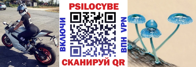 Галлюциногенные грибы мицелий  Мурино 
