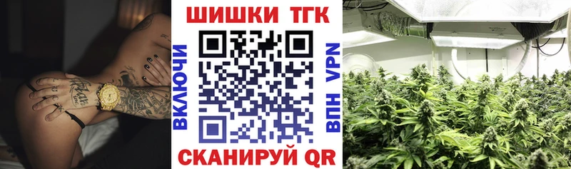 Канабис план  что такое   блэк спрут зеркало  Мурино 